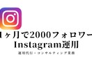 Instagramの運用・コンサルをします Instagramで売上を伸ばしたい方 イメージ1