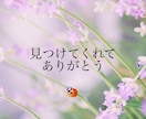 男性限定★現役看護師がお話聞きます ただ話を聞いてほしいとき、私がここにいます。 イメージ2