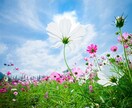 依存症当事者の家族が相談にのります アルコール/薬物/ギャンブル誰にも話せないお悩み話して下さい イメージ3