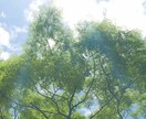 貴方の人生を転換させて真の目覚めを促します 目覚めて人生をより軽やかに穏やかに豊かにしていきたい方へ イメージ3