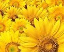 あなたの悩みお聞きします あなたの悩み、プロコーチに話をしてみませんか？ イメージ1