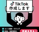 TikTok作成します スクロールを止める構成を意識して作成します イメージ1