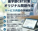 歯学部CBT対策｜オリジナル問題を作成します 歯学部CBTの頻出分野をオリジナル問題で徹底トレーニング イメージ2