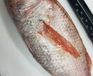 魚を上手に捌けるようになりたい方にご教授します リアルタイムでのレッスンになるのでその都度ご質問にお答え可能 イメージ4