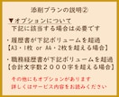 添削プラン　職務経歴書や応募文章をプロが添削します プロ品質の文章を作成/結果に直結　総販売実績1600件突破 イメージ3