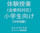 体験授業　小学生向け授業を行います 初めての方は、こちらで授業を体験してみてください。 イメージ1