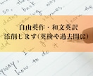 自由英作文・和文英訳の添削します 添削を通して英語力向上させましょう イメージ1