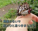 あなた、頑張り過ぎ屋さんになってます 頑張りのプロではなく、頑張り過ぎない自分になりましょうね。 イメージ2