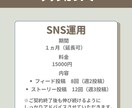 集客にお困りの飲食店様！特別価格でSNS運用します 飲食店に特化したマーケティングを特別価格でご案内！ イメージ3