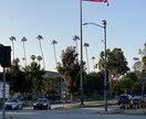 アメリカ留学のお悩み相談します アメリカでの留学体験談や現地情報をご提供します。 イメージ10