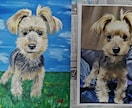 ペットの画像お気に入りの画像から絵画を描きます アクリル絵の具を使いA4サイズのキャンパスで描きます イメージ2