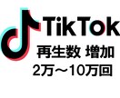 TikTokの再生数2万回増加させます 振り分けも可能 再生回数増加　いいねオプションあり イメージ8