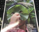 保育士の悩みなんでも相談に乗ります 保育士のみなさんの悩みを聞き解決に向けてサポートします。 イメージ1