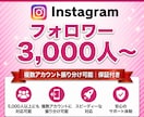 Instagramフォロワーを3000人増量します 広告でフォロワー獲得｜振り分け可｜減ったら再追加 イメージ1