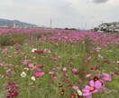 お話し倶楽部はじめます 何気ないことを話したい、聞いてもらいたい人に向けてのサービス イメージ1