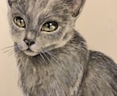 ワンちゃん猫ちゃんを透明水彩と色鉛筆で描きます ペットとの思い出をイラストに残しませんか イメージ2