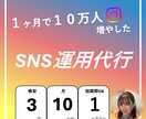 総フォロワー20万人の私があなたのSNS伸ばします 特別価格。時間のかかる作業を請け負います！ イメージ3