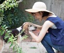 カナダ在住の日本人が０から英語を教えます 初心者さん大歓迎！〜カジュアル＆リラックスレッスン〜 イメージ2