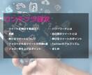 魅力的なツイート作成コンテンツを提供します １ツイートで３０００フォロワーを獲得した方法を伝授します イメージ2