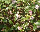 私の人生経験を告白します 困難に出くわした時にどう乗り越えるかのヒントに イメージ1