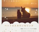 ペット(犬猫)アニマルヒーリングで体調を整えます オーダーメイドヒーリングで穏やかで元気な日常をサポートします イメージ6
