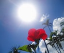 沖縄人の僕が沖縄の太陽のように暖かく励まします なんくるないさ〜〜、『出逢いは一瞬、出逢えば一生』 イメージ3
