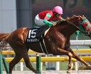 今週の競馬の軸馬を決めよう！ イメージ1