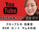 YouTube動画編集承ります YouTuber編集経験あり！！ イメージ3