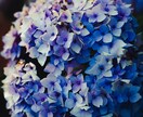 話してみないと私が聞きます 話してリセットしたい貴方、待ってますストレス解消です。 イメージ9