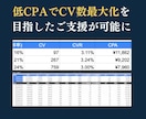 通販・リード専門！スマートニュース広告運用します 【実績50社超】目標CPA1/2・CV数250%成長！ イメージ4
