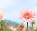 あなたのお話何でも聞きます 日々の疲れや悩みを少しでも癒せる時間を提供します。 イメージ1