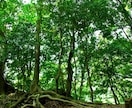 彼の今の気持ちをチャネリングでお調べします 彼の本当の気持ち、気になりませんか。 イメージ7