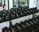 初心者向けジム用メニューを作成します ダイエット、健康維持、筋肥大目的別に食事内容も含め イメージ1