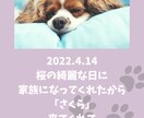 キャンバでアルバム（データでのお渡し）つくります 思い出を形にするお手伝いさせてください！ イメージ10