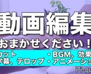 クオリティー重視：動画編集承ります 素敵な演出で動画を華やかにしてみませんか イメージ1
