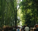ご旅行時の宿泊予約をお手伝いします ご予算、ご要望などを伺い、お得に宿泊予約できるようサポート♪ イメージ4