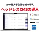 ヘッドレスCMS活用の超本格メデイアを作成します WordPressのSEO対策に限界を感じている方へ イメージ1