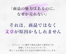 商品企画経験者が"欲しい"につながる文章を作ります 商品の魅力を整理し、選ばれる理由を言語化 イメージ4