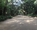 お墓参りなど先祖供養のご相談承ります 見えない世界の理を知ってみませんか？ イメージ3