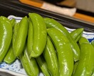 博多野菜巻き串教えます バーベキューやイベントで盛り上がること間違いなし！ イメージ2