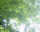 誰かに聞いて欲しい！どんな話でも聞きます ちょっとした愚痴、自慢話、悩みなど…話してスッキリしてね！ イメージ3
