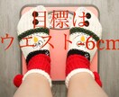 Xmas迄にウエスト-6cm！まだ間に合います 見返してやりましょう！諦めてたスタイルを手に入れる40日間 イメージ1