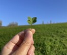 思念伝達とお返事をお伝えします どうしても伝えたいことがある人へ。 イメージ1