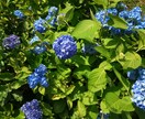 悩みや日頃のストレスなど幅広い話をききます 何でも気軽に話せる場所になりたい イメージ2