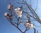 気になるコスメの成分解析します 成分をひとつひとつ解説します。 イメージ1
