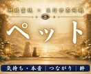 亡くなったあの子の想いと魂の現在地を霊視します 本当に幸せだったのか。今もあなたへ向けている想いを伝えます イメージ1