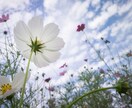 離婚に悩むあなたへ– 神託霊視で未来を照らします 離婚か修復か…霊視であなたの最善の未来を導きます イメージ8