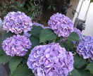アラフィフの疲れた心にそっと寄り添います 今のあなたのお気持ちを少しでも軽くできますように イメージ6