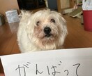 愚痴，悩み事など相談にのります。 イメージ1