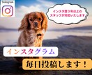 インスタグラムにて1日1投稿の運用代行します ＜instagram＞フォロワー増加の肝である投稿を代行 イメージ1